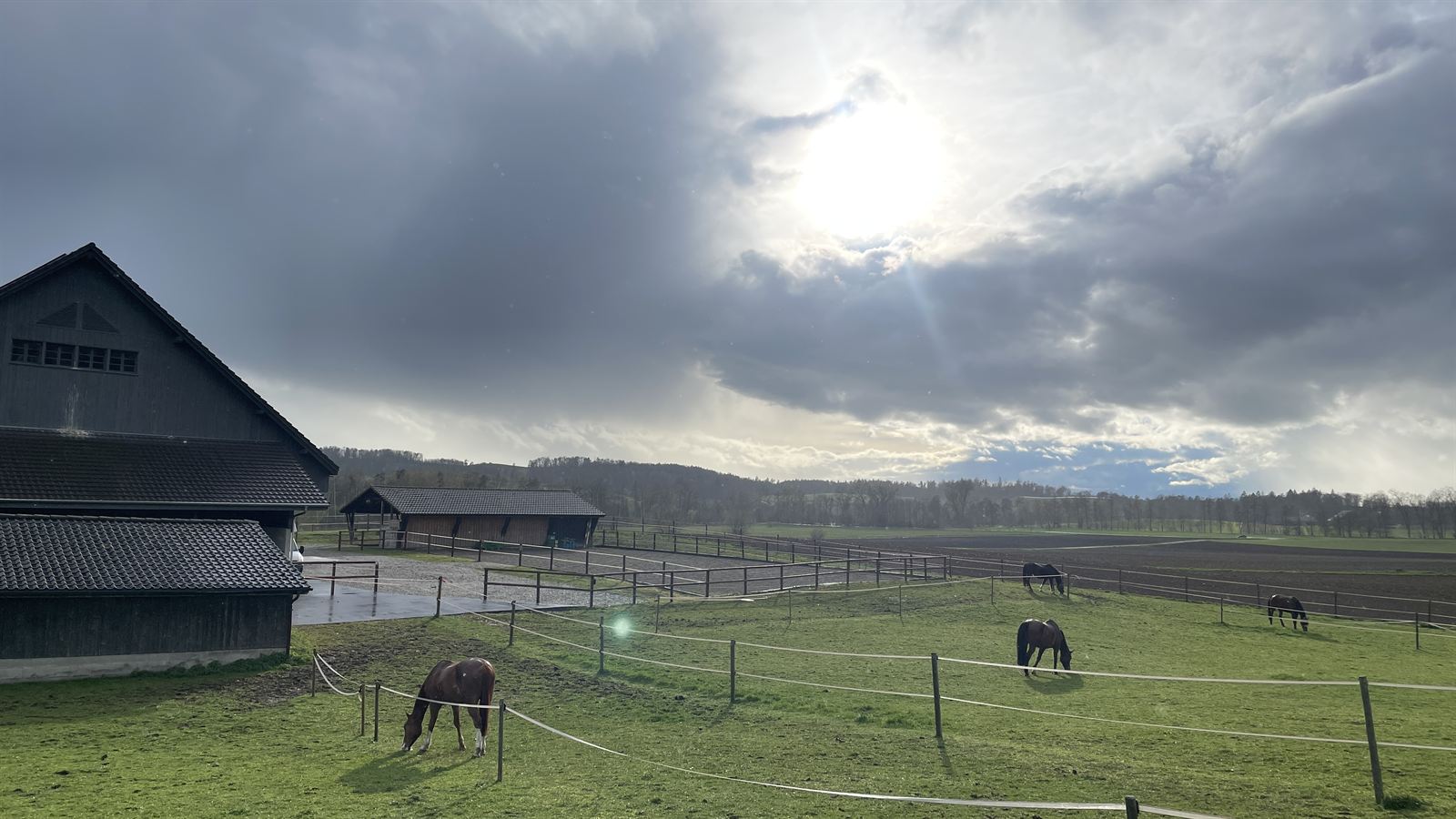 Dramatischer Himmel über den Weiden mit Pferden