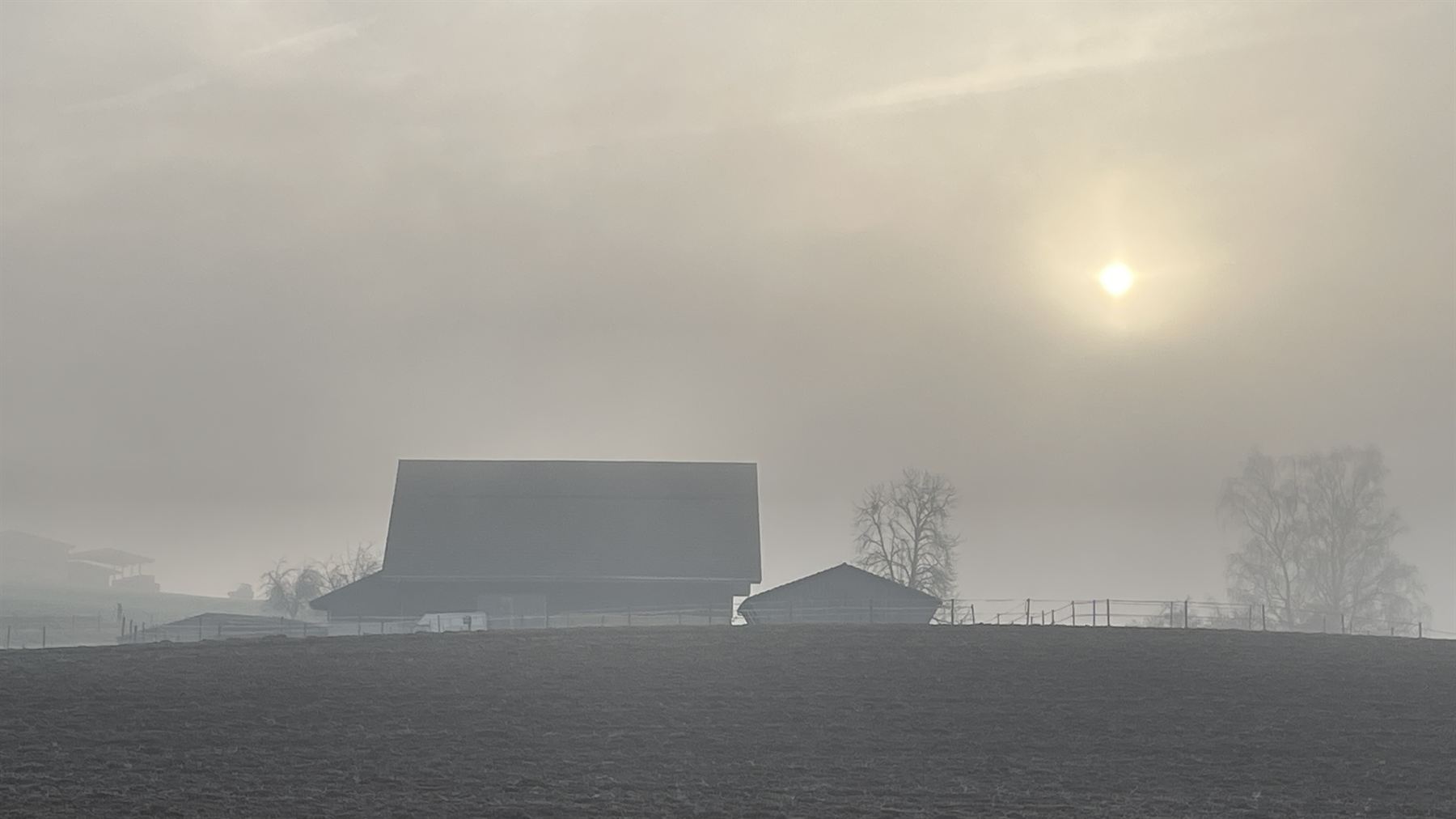 Der Hof im Morgennebel – Ruhe und Konzentration liegen über der Landschaft