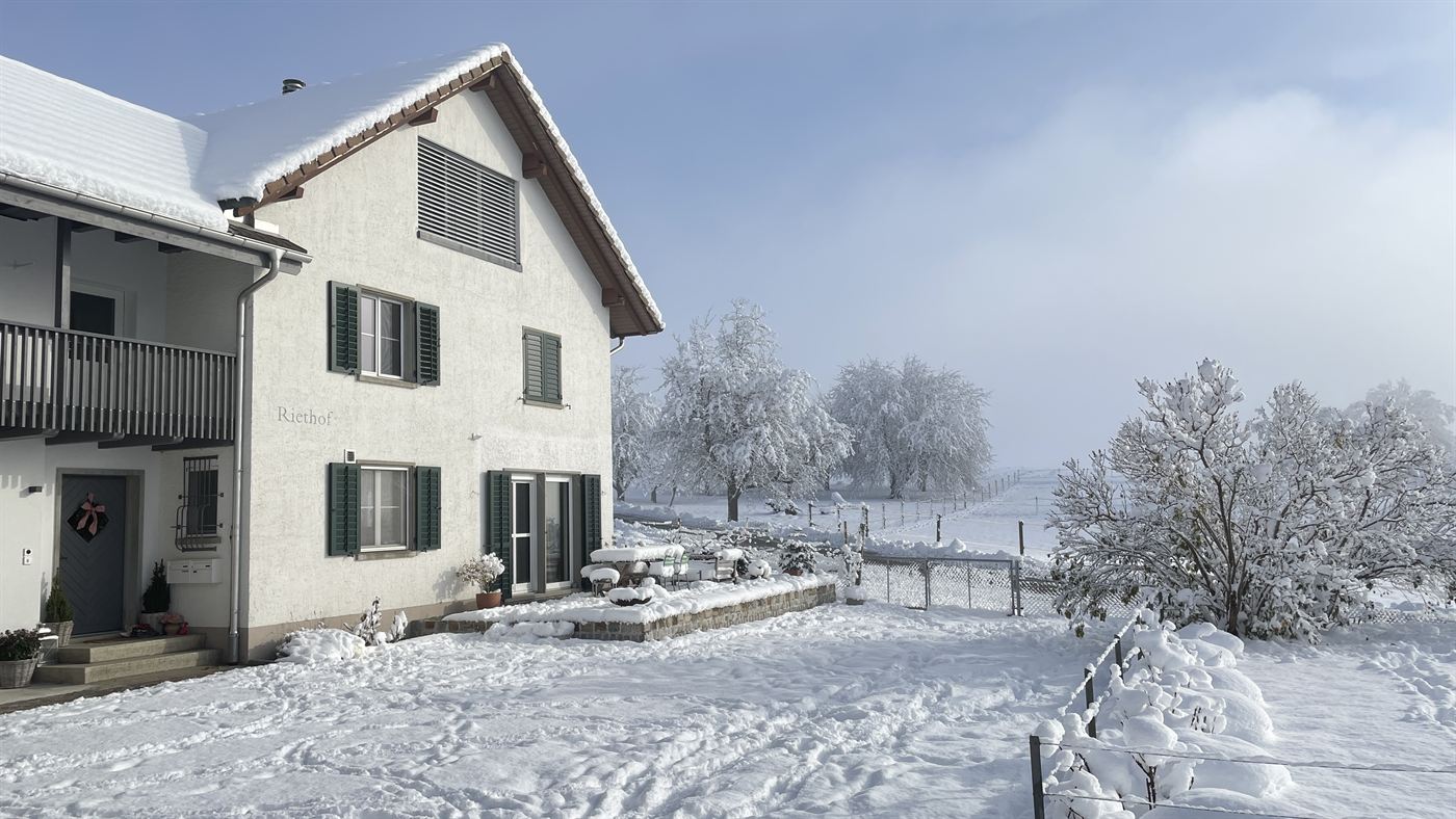 Verschneite Hoflandschaft im Winter